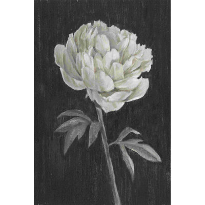 Fleurs noires et blanches I