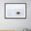 Base Print by Shawn Thomas-48615750-48615749