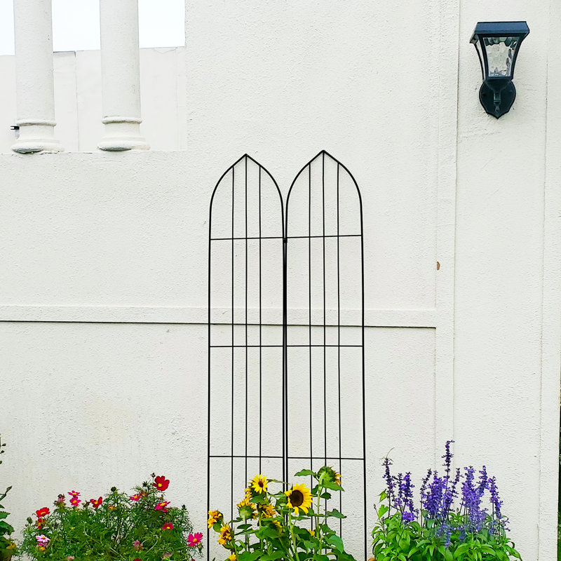 Ensemble de 2 treillis de jardin pour vignes et plantes grimpantes d'extérieur H 60 po x l 18,9 po
