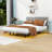 Jareli Queen Upholstered Floating Platform Bed with Light and Headboard-2145535349