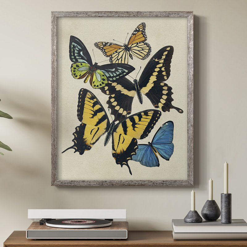 «Collage Butterflies II», reproduction encadrée - bois massif, H 11 po x l 9 po