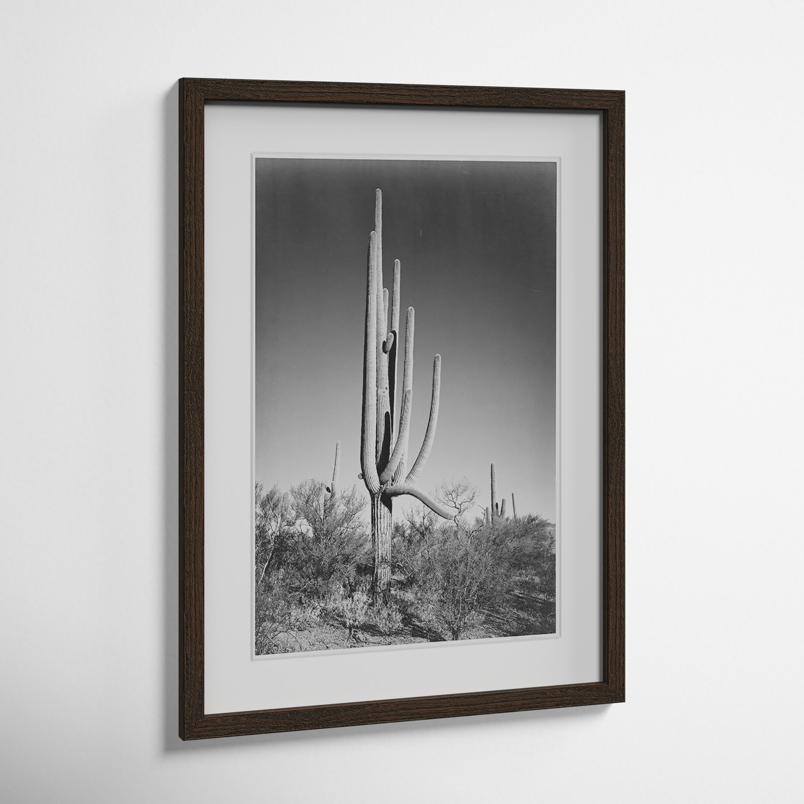 Saguaro National Monument Print by Ansel Adams, 23" H x 17" W x 0.75" D, Walnut