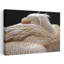 Peaceful White Pelican Elegant Peaceful Serene Bird Pelican Nature Wildlife Wall Art Print by Thierry Dufour - Wrapped Canvas Print-686919593
