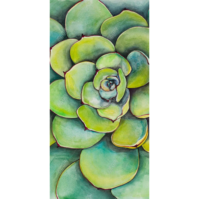 Watercolor Succulent Plant - Toile exotique verte, décoration intérieure