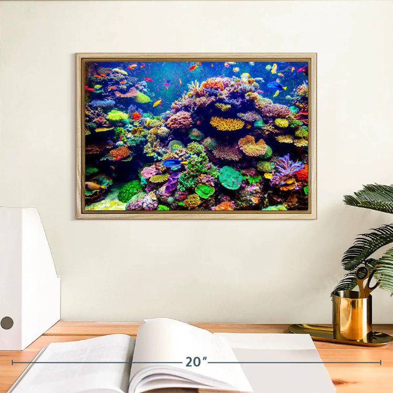 Aquarium de Singapour, récif de corail, Cadre flottant en bois naturel, 13 po x 9 po