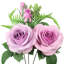 Rosier-625828100