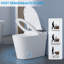 Toilette intelligente avec bidet encastré Smart One