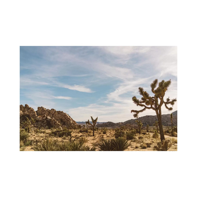 Joshua Tree National Park XXVI by Bethany Young - Wrapped Canvas Print, 30.48cm H x 45.72cm W x 1.91cm D