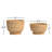 Joss & Main Callie Rattan Decorative Basket