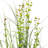 36" Artificial Potted Green Grass and Eucalyptus.
