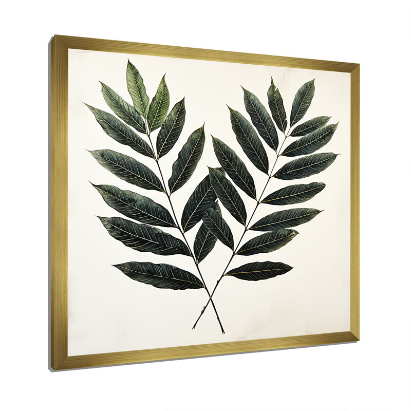 Décoration murale Sooty Sequoia Leaves - Herbes, Cadre flottant blanc, H 36 po x l 36 po x P 1,5 po