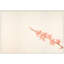 Spring Silhouette 3 Print by Jennifer Mckinnon Richman-1364789331