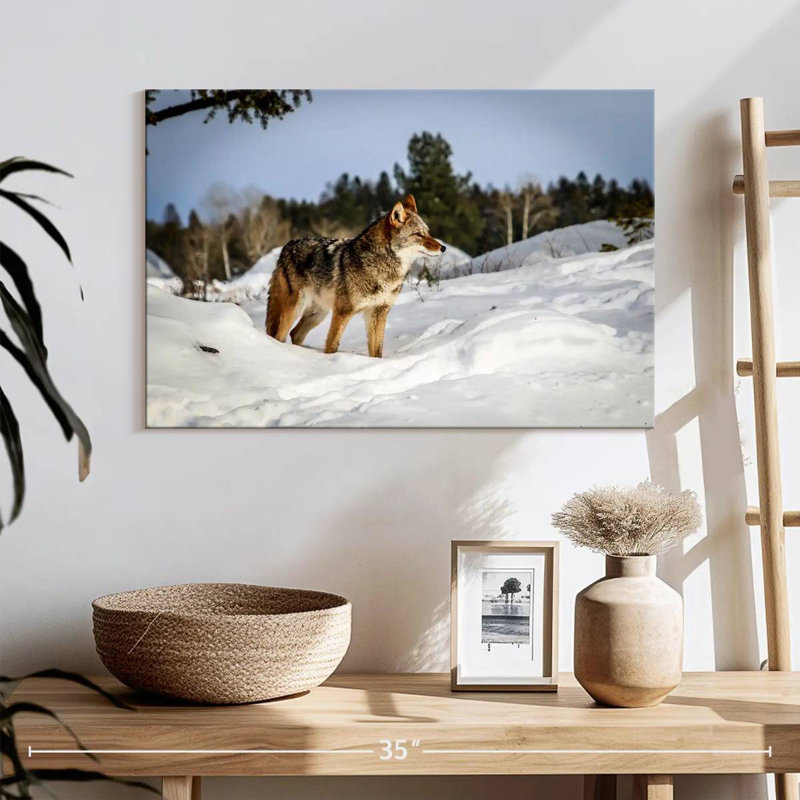Coyotes de neige d'hiver Brampt, H 16 po x l 24 po