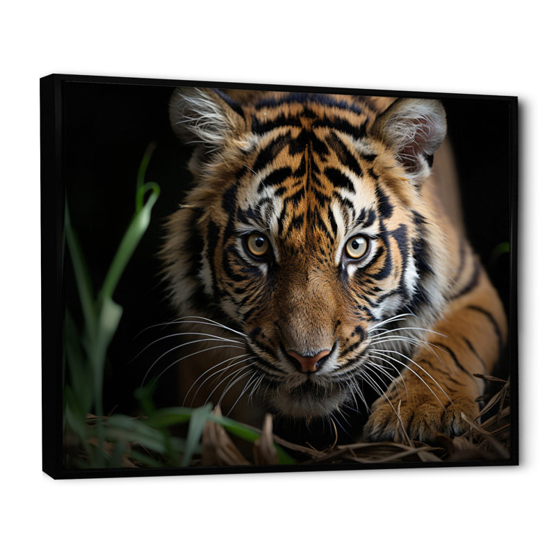 Portrait de tigre brun - art mural tigre, H 16 po x l 32 po x P 1 po, Cadre flottant noir