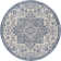Oriental Indoor Rug
