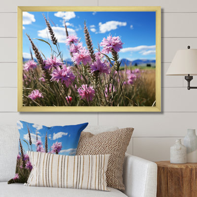 " Cornflowers Field IV "