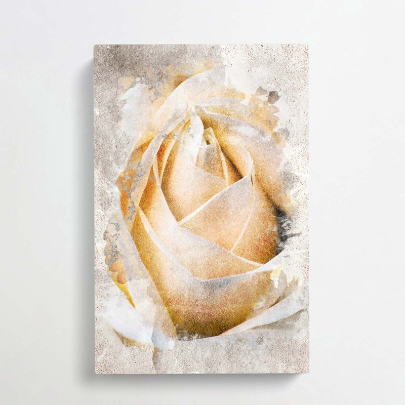 A Peach Yellow Rose In Abstract - Wrapped Canvas, 50cm H x 35cm W x 3cm D