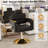 Professional Hydraulic Barber Chair - 360° Swivel With Adjustable Height, Stainless Steel Armrests & Reclining Backrest For Salon & Barber Shop(Black + Gold)