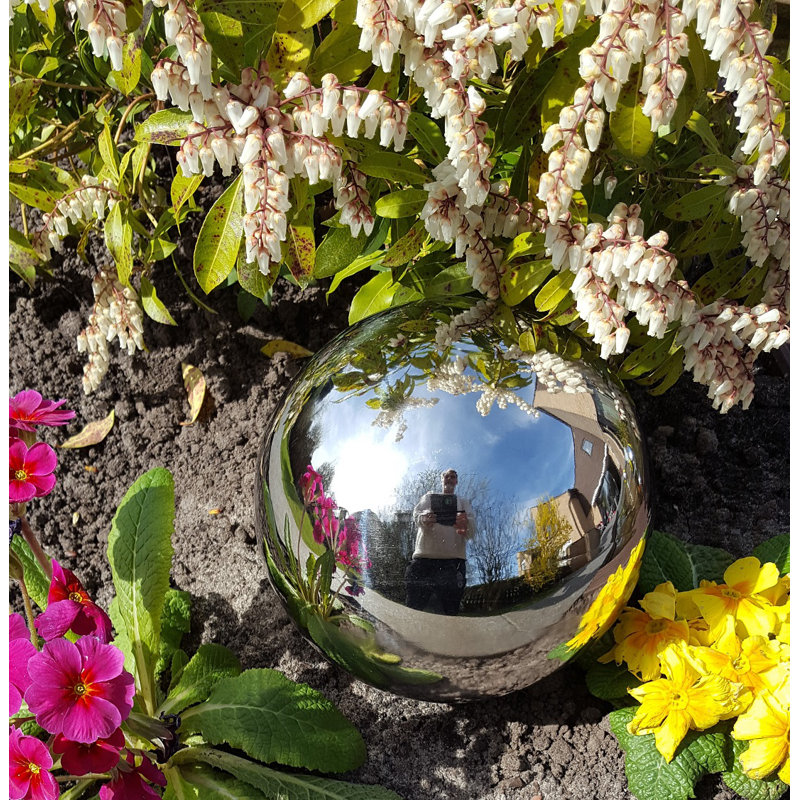 Darrol Stainless Steel Gazing Ball, 20cm H x 20cm W x 20cm D