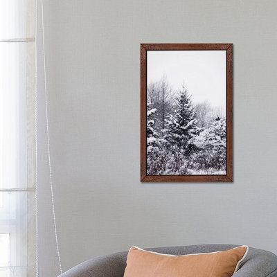 Winter Pines by Chelsea Victoria - Print on Canvas