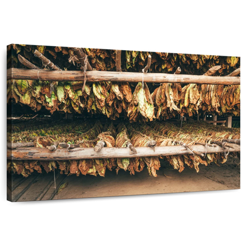 Harnek Tobacco Curing, 34" H x 51" W