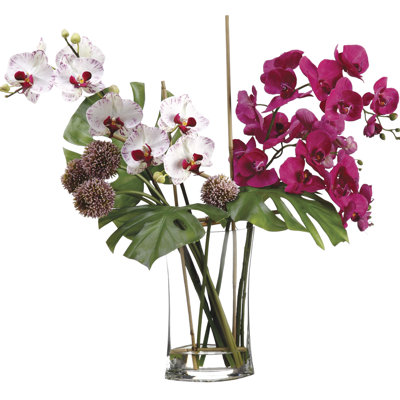 Vase en verre allium/phalaenopsis