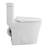 1.28 GPF Round One-Piece Toilet (Seat Included)