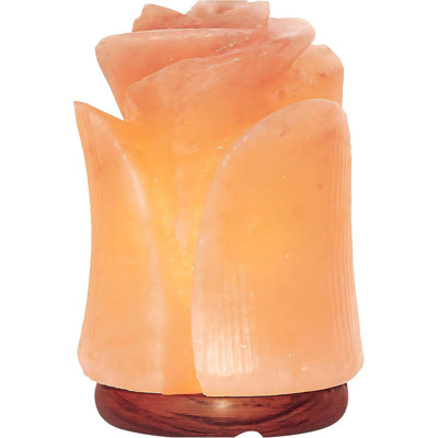 Lampe de sel rose de l'Himalaya en forme de tulipe | Lampe décorative en sel gemme sculptée à la main | Lampe de chevet/de bureau en sel naturel, idéale pour la décoration de la maison ou du bureau
