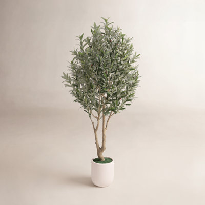 Ashwell Artificial Olive Tree with White Pot