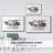 " Modern Longhorns II "-92473287-92473290