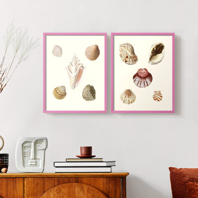 «Pastel Knorr Shells», reproduction encadrée de qualité supérieure - prête à être accrochée - aucun clou requis - aucun clou requis