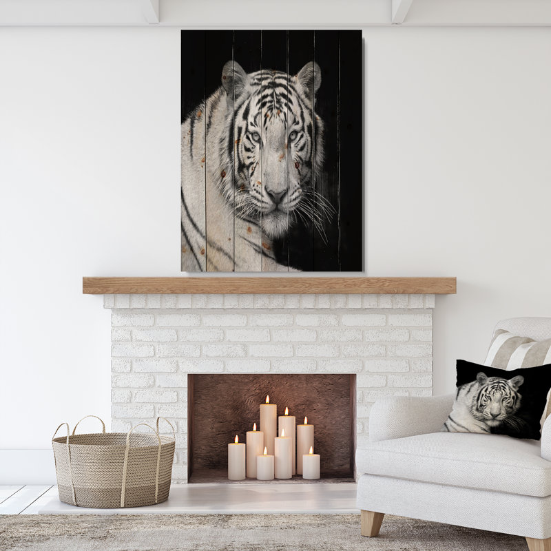 Staring Bengal White Tiger - reproduction de photo sur toile, H 20 po x l 15 po x P 0,78 po, Bois