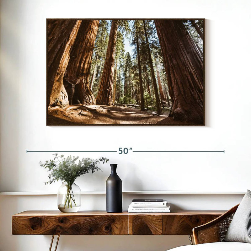 Été dans le parc Sequoia, Cadre flottant noyer, 40 po x 27 po