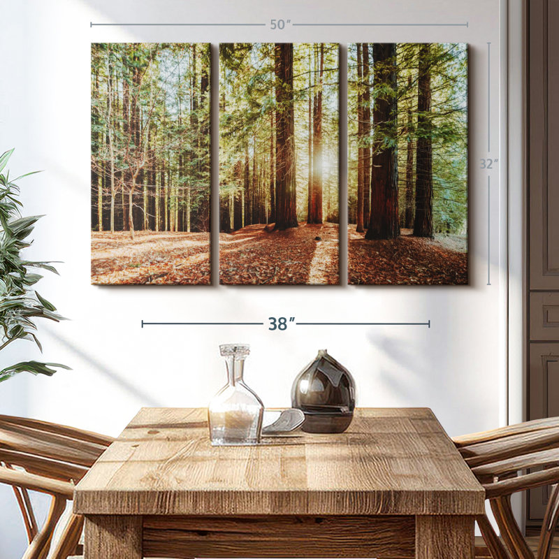 «Redwood with Sun Rays» sur toile, H 32 po x l 50 po x P 1,25 po