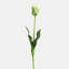 Tulip Faux Floral-1888593888