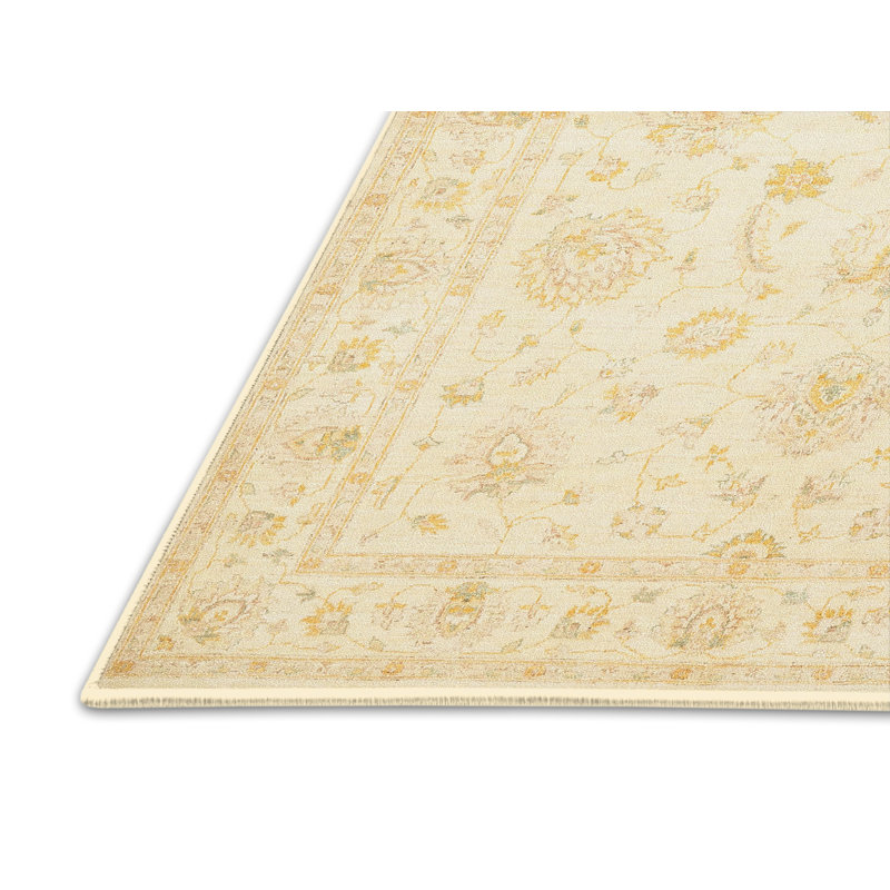 Winschoten Performance Oriental Indoor Rug, Rectangle 4' x 6'