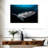 Brampt Underwater Blue Shark-108126808