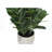 Artificial Plant