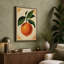 Orange Study Botanical 1 Piece Wrapped Canvas Wall Art-1488145750-1488145770