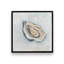 Shuck Yeah, ensemble de 2 impressions-1307532316-1307532317-1307532305
