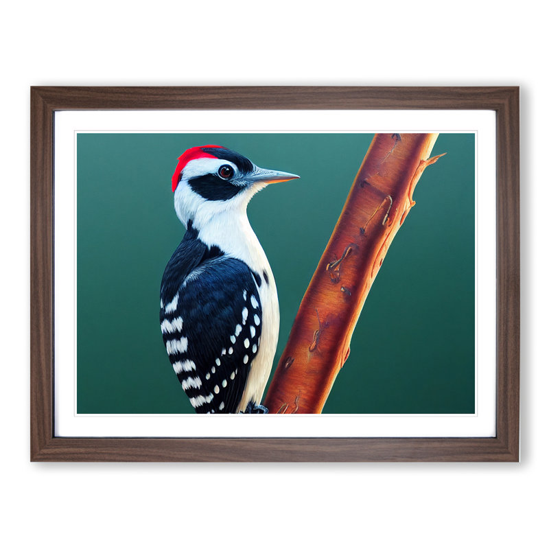 Select Woodpecker Bird - Framed Print, 25cm H x 34cm W x 2cm D, Walnut 