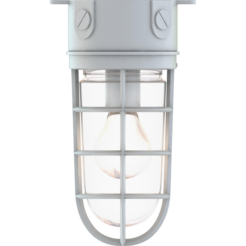 Houser 1-Light Indoor or Outdoor Silver Gray Aluminum Convertible Flush Mount Ceiling Fixture (Wall Mount Sconce) with Clear Glass Rounded Cylindrical Shade