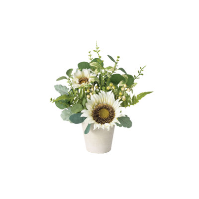 Arrangement floral mélangé en pot