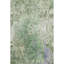 Premium Machine Washable Mayfield AMF2223 Floral Rug-1698539564-1698539579