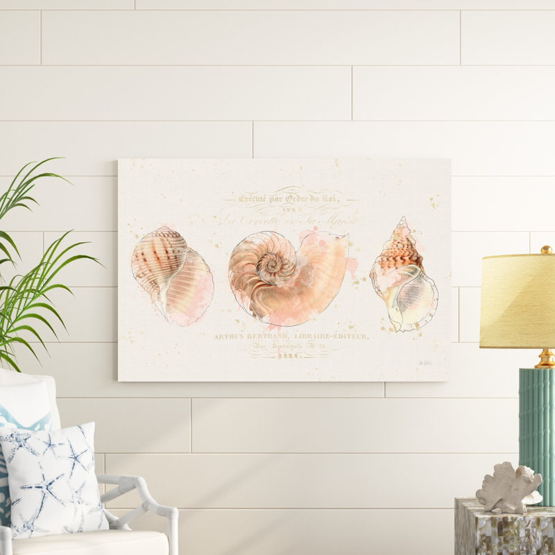 Coquille de collection I, H 32 po x l 48 po x P 1,25 po