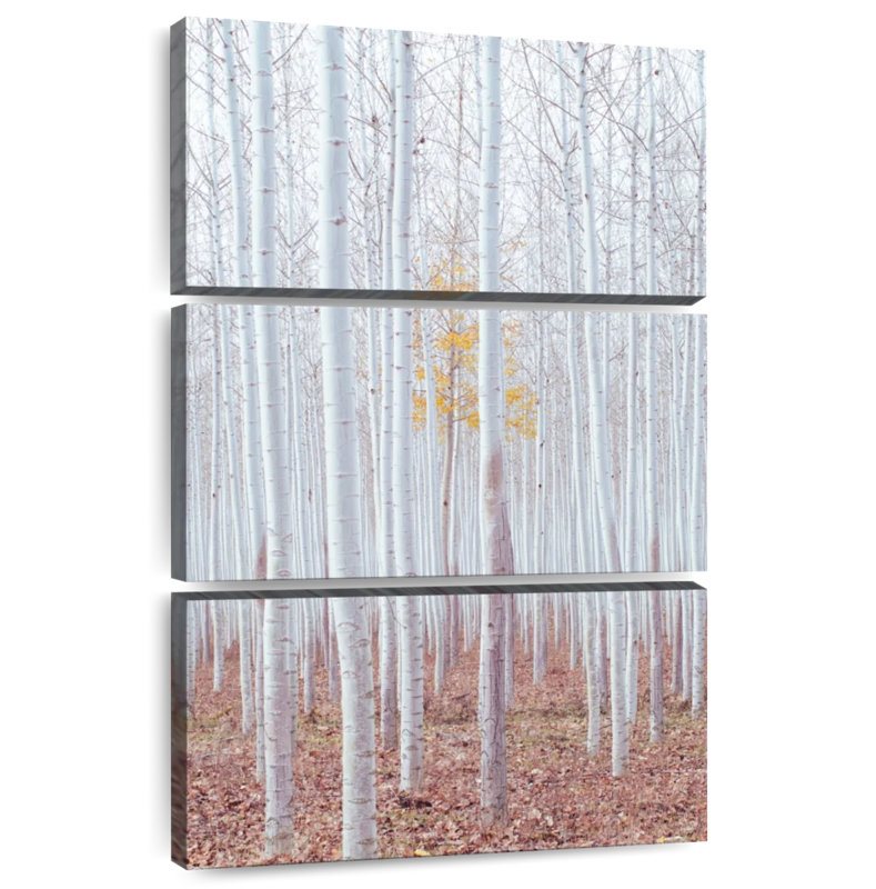 Harnek Birch Trees In Autumn, 32" H x 20" W