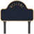 Navy/Gold