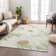 Machine Washable Indoor/Outdoor Oliveras ACN2263 Floral Rug