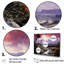 «Abstract Hawaii Palm Tree Sunset III», reproduction sur toile-97091889-97091890