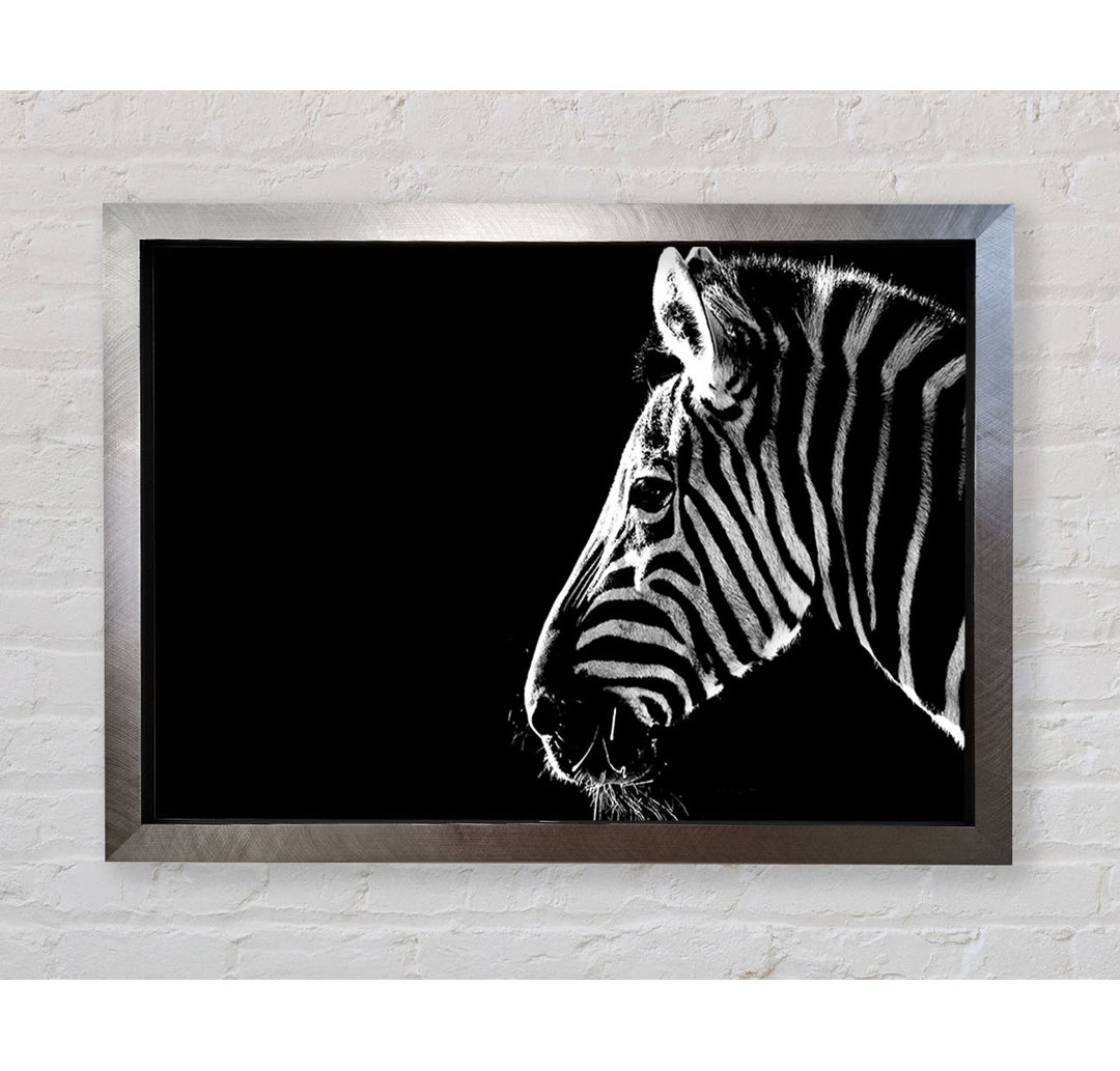 Zebra-Schnurrhaare - Einzelner Bilderrahmen Kunstdrucke